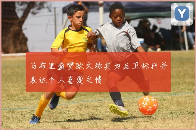 马布里盛赞欧文称其为后卫标杆并表达个人喜爱之情